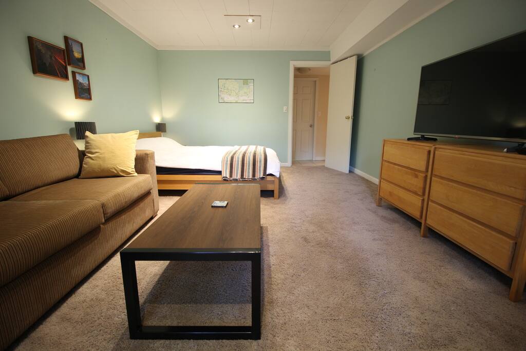 Bedroom and living room space