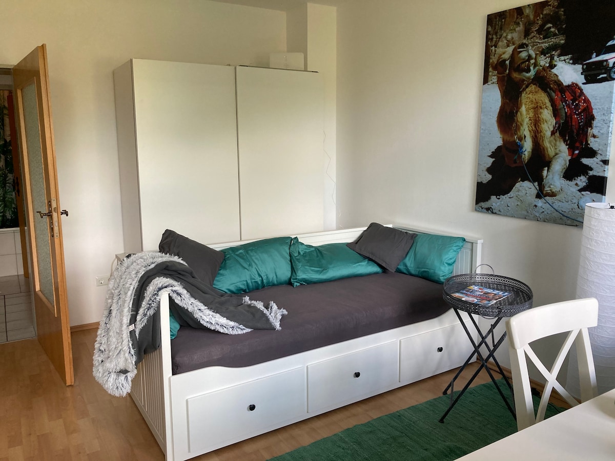 Obývaciu izbu / spálňu