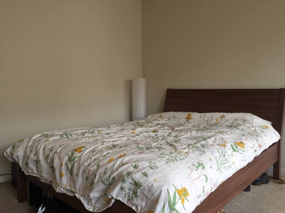 Queen size bed in the living room