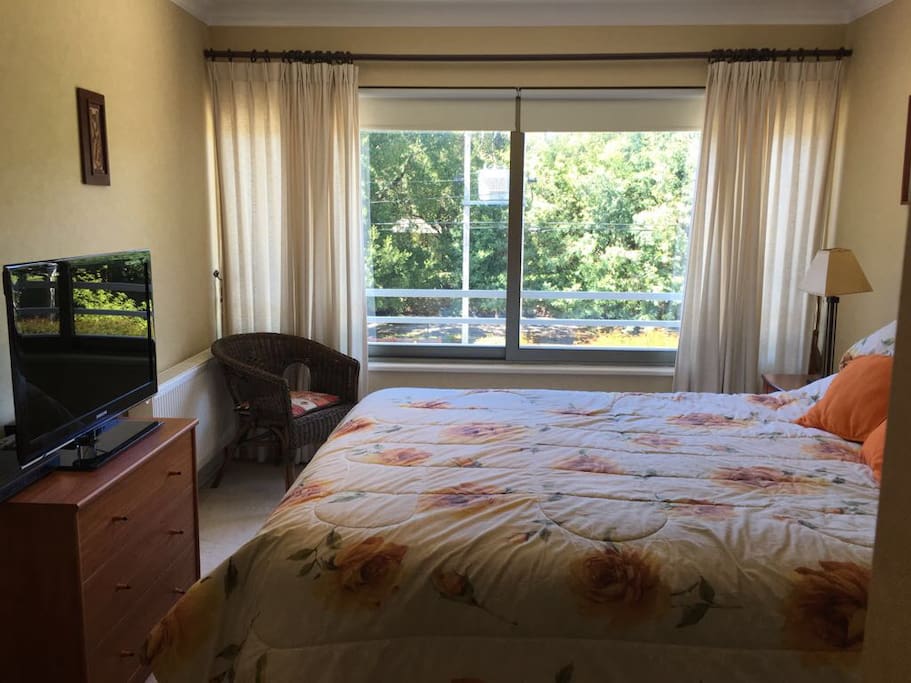 Dormitorio Principal / vista volcán / TV con Directv