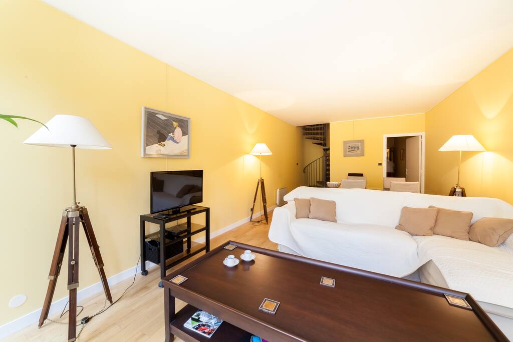 Salon avec TV et connexion wifi