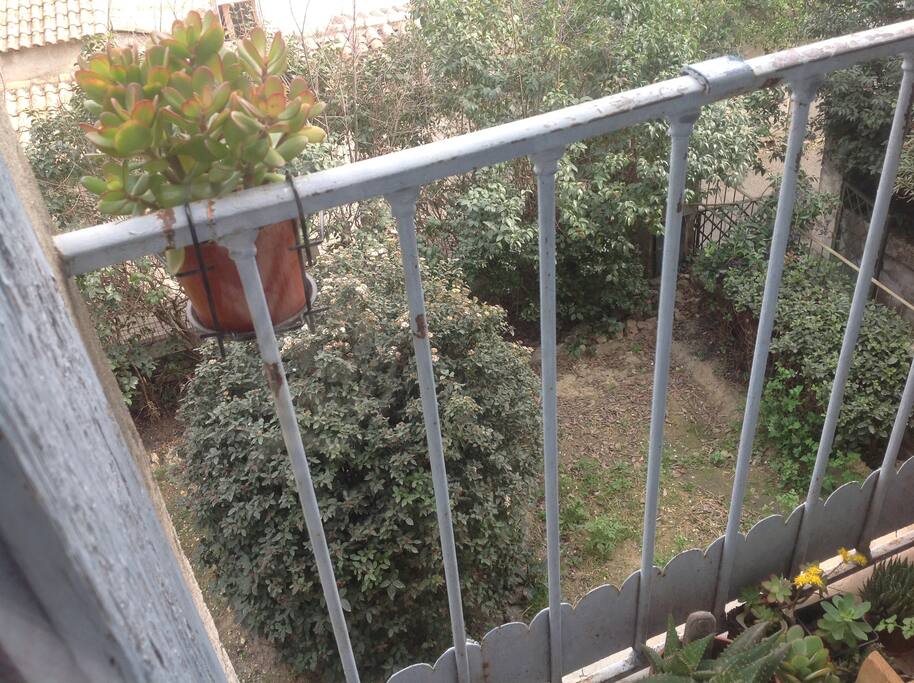 Vue du jardin commun!