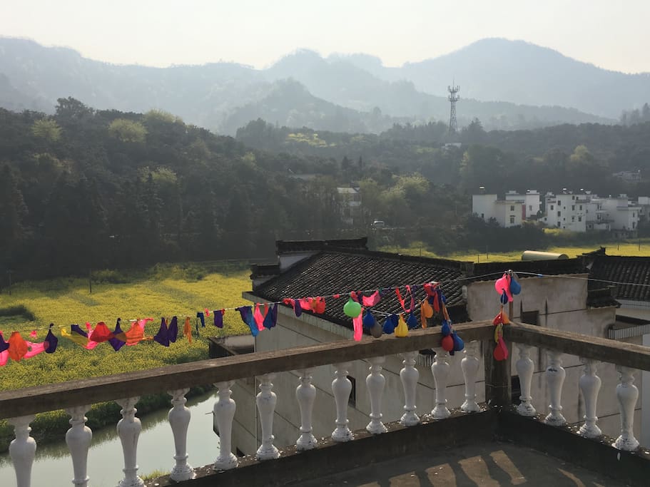 阳台上的风景 View from the balcony