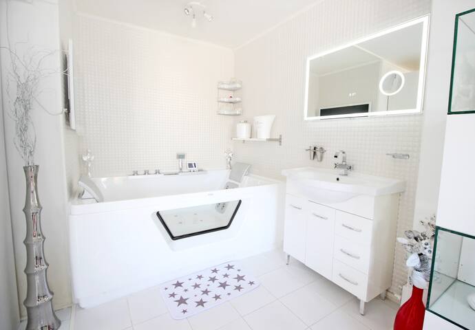 Most Luxury penthouse in City Centre | Canal View gallery image 4