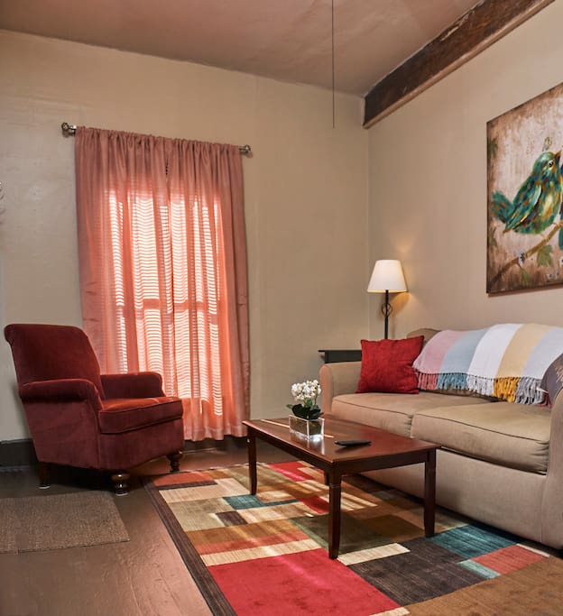 Living room with hide a bed couch.