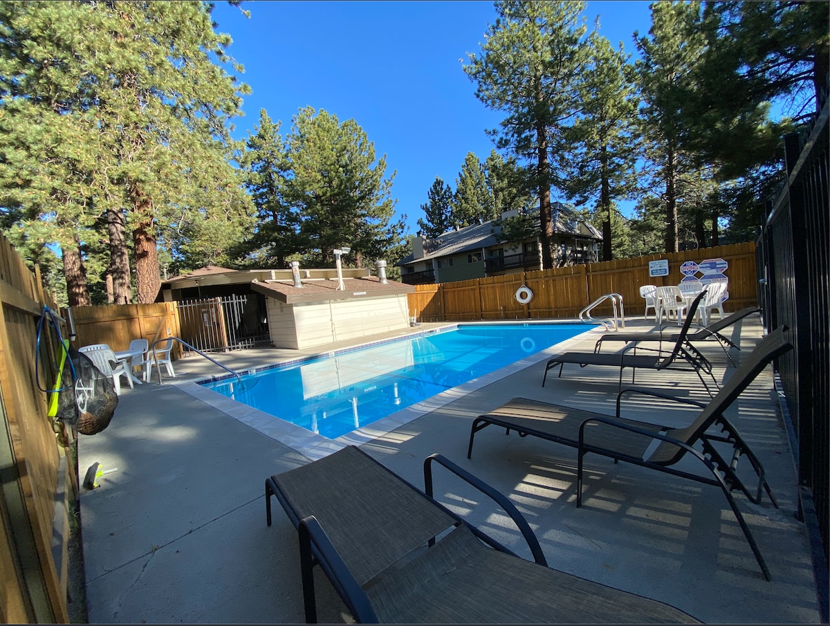 A clear blue pool is surrounded by lounge chairs and shaded by tall pine trees. The area includes a wooden fence for privacy and a small structure for pool amenities. Sunlight reflects off the water, creating a relaxing, outdoor retreat.