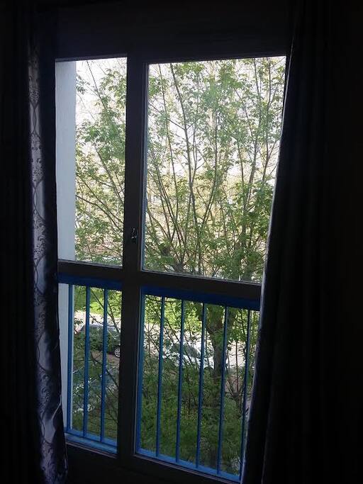 Vue de la route et son allée d'arbres depuis votre chambre