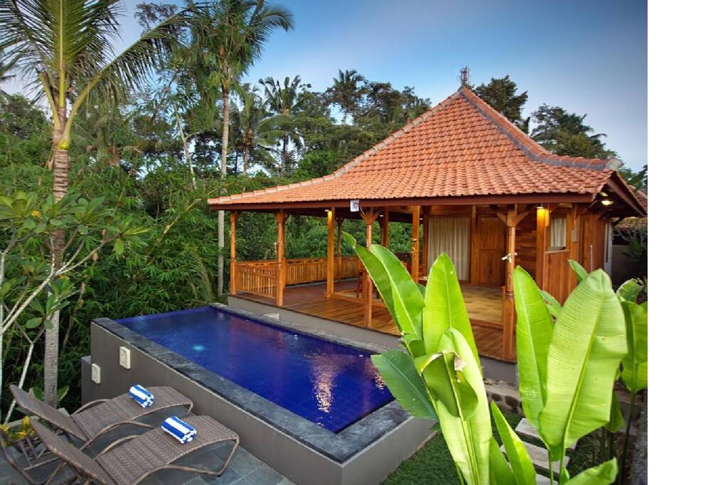 Valley view Ubud Heaven Sayan 1 Bedroom Pool Villa