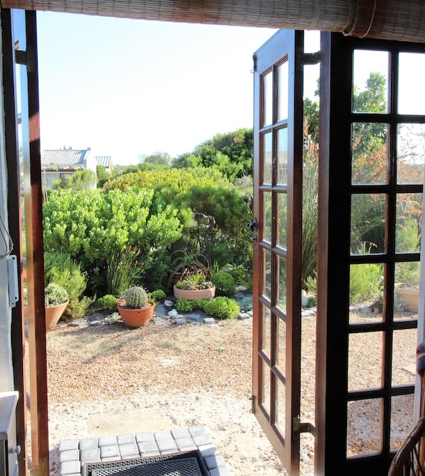 The garden