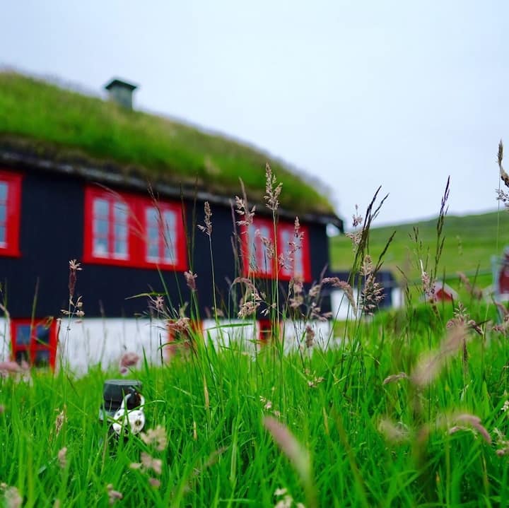 Turf House in town center and near airport Cabins for Rent in