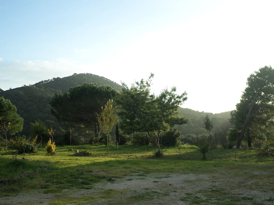 Veduta di Monte Moneta
