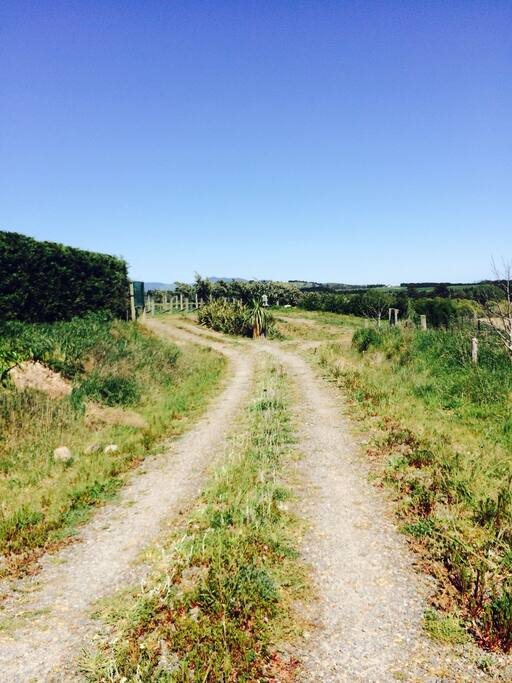 Driveway entrance, house and vineyard beyond.