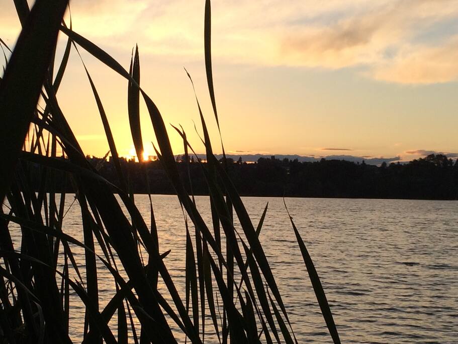 Green Lake