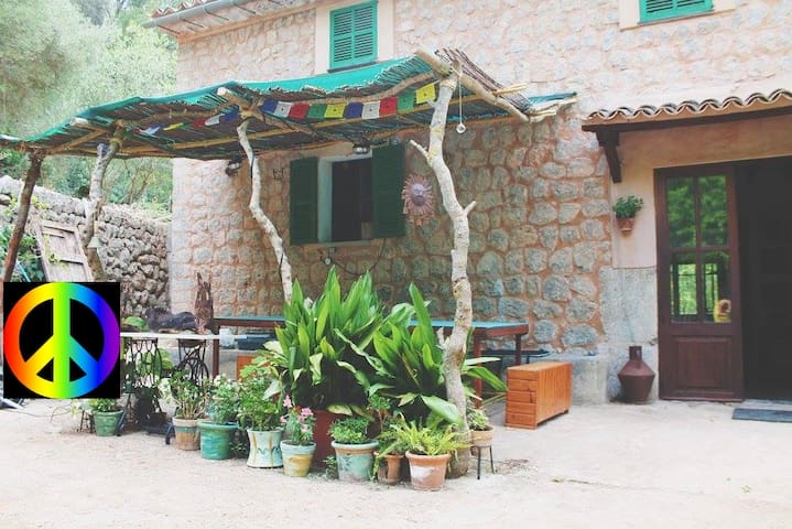 Peace Refugio