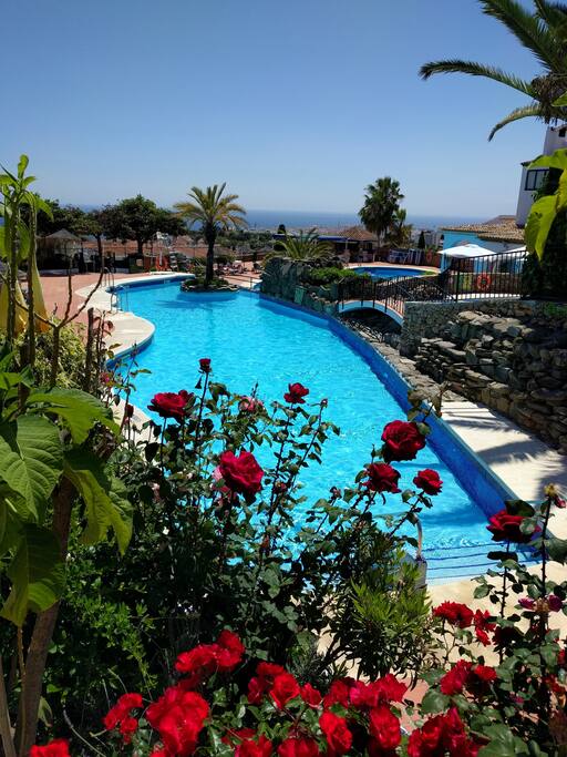 Communal pool