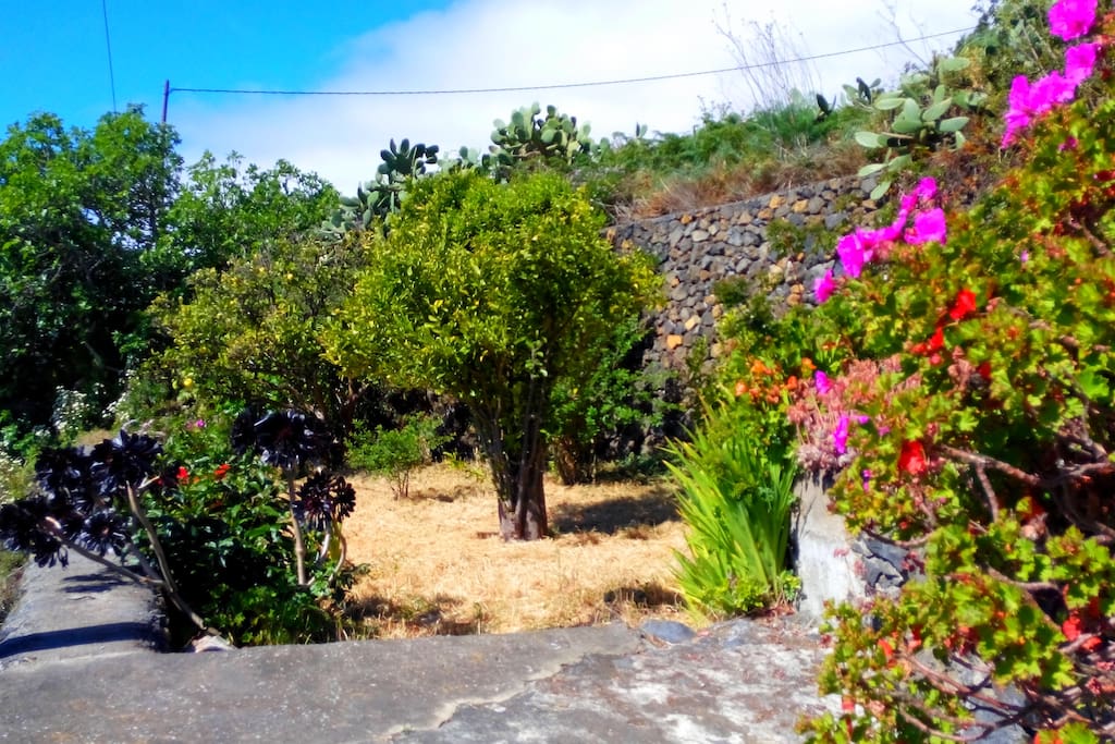 Jardín disponible