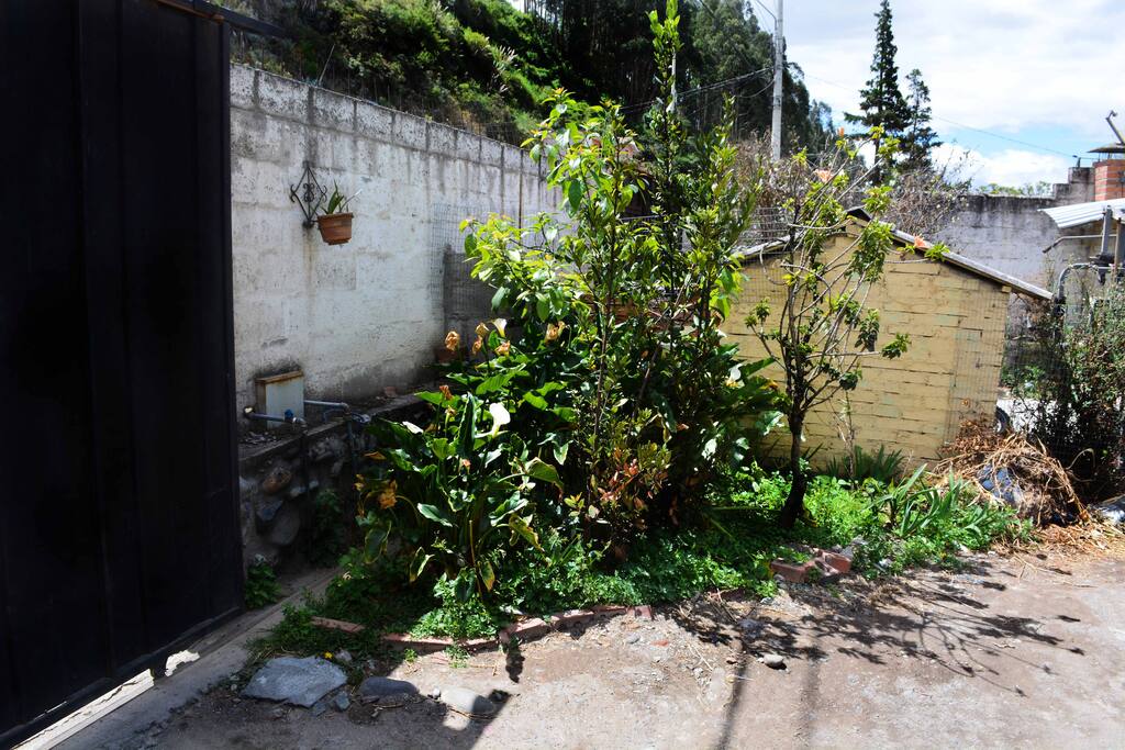 Entrada desde la vía principal