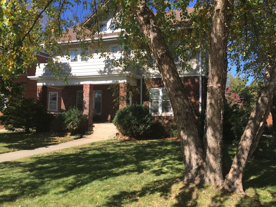 The house