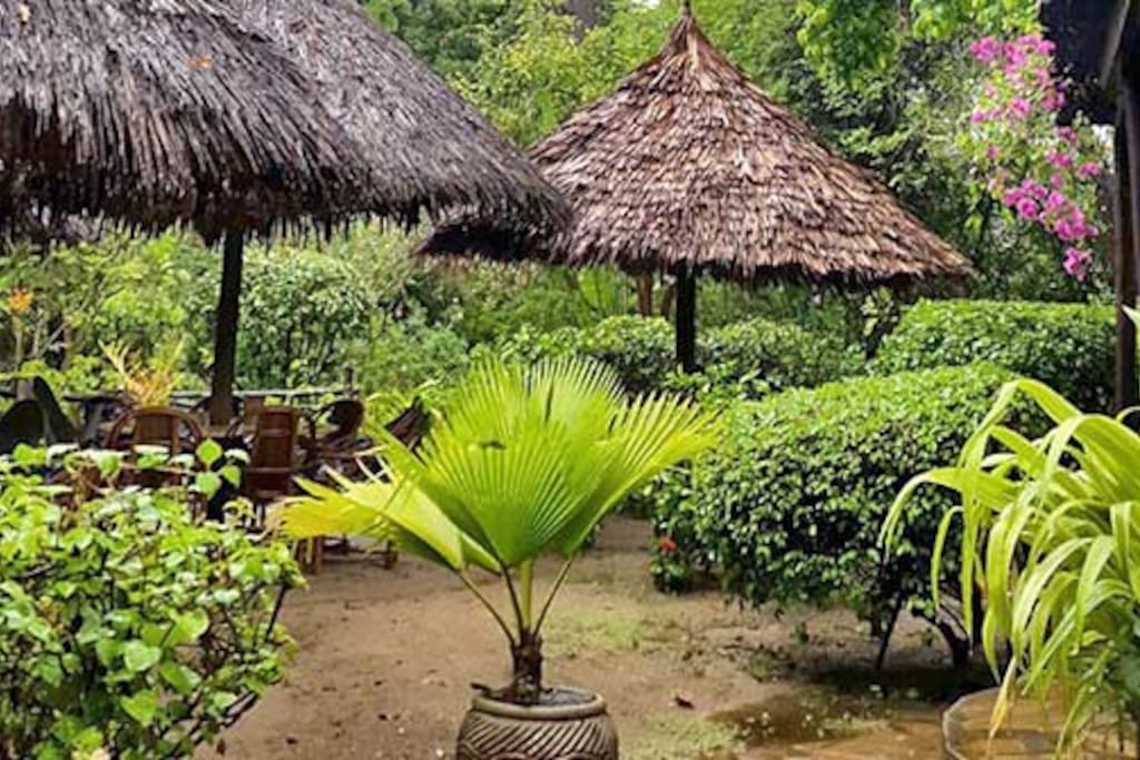 Hidden garden to relax in with a fully stocked bar and wood-fire pizzeria