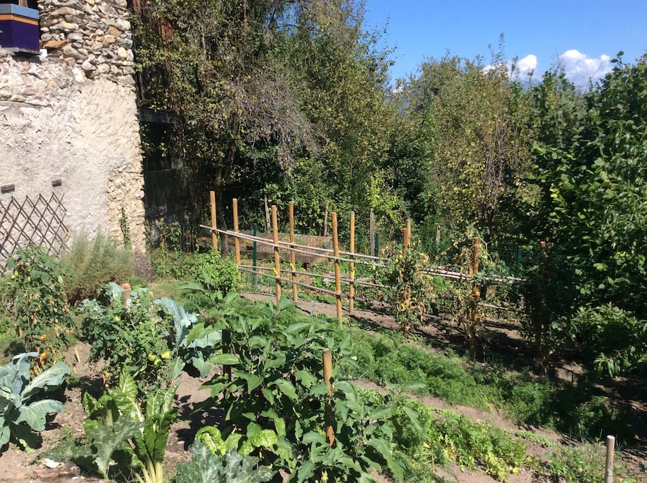 Jardin