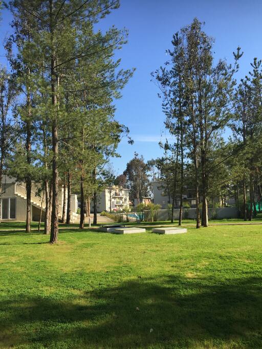 parque que rodea los departamentos
