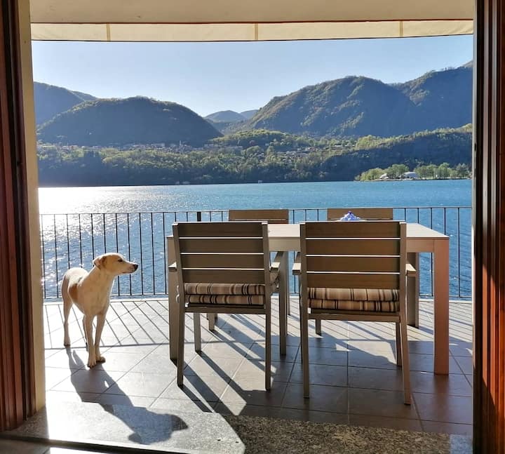 The lake house