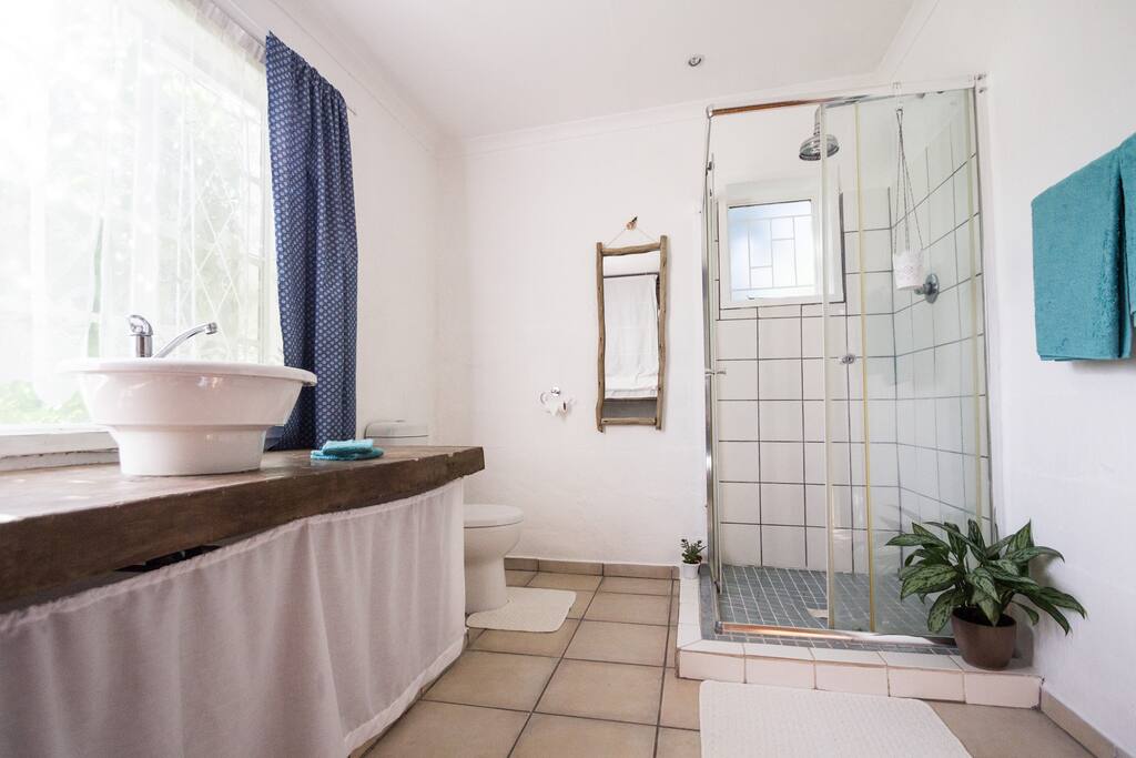 Luminous bathroom with toilets and shower