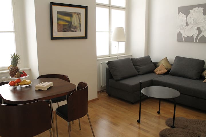 Cosy BOUTIQUE Apartment in the Heart of Vienna