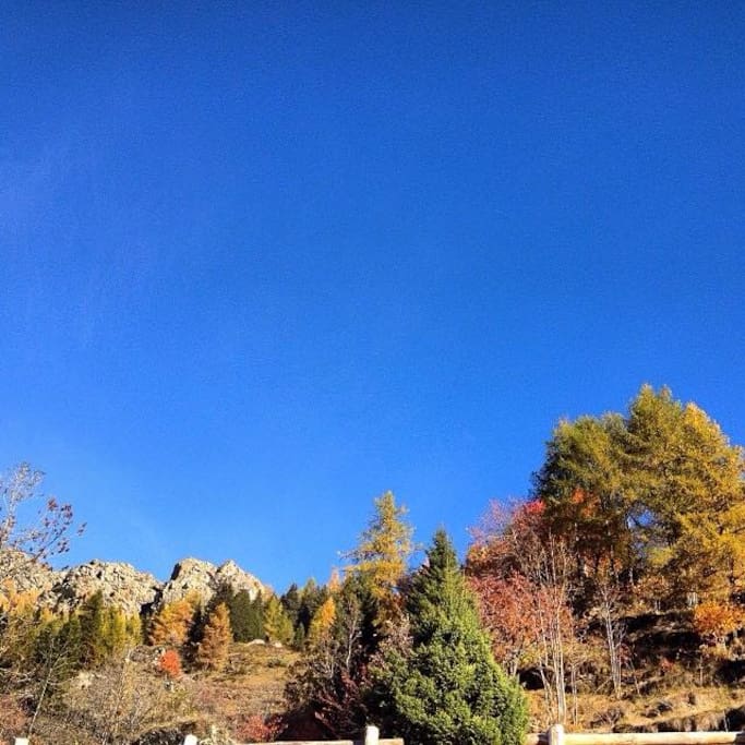 colori d'autunno