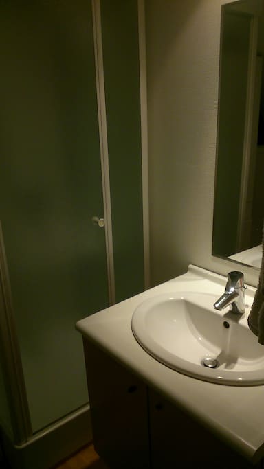 une salle de bain avec douche neuve