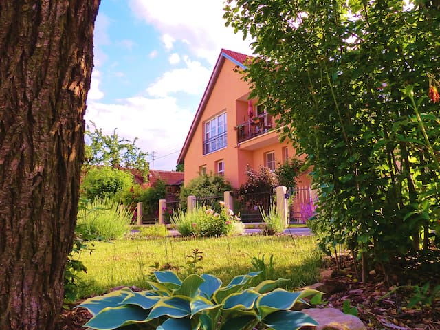 Airbnb Hofheim Vacation Rentals Places To Stay Bavaria