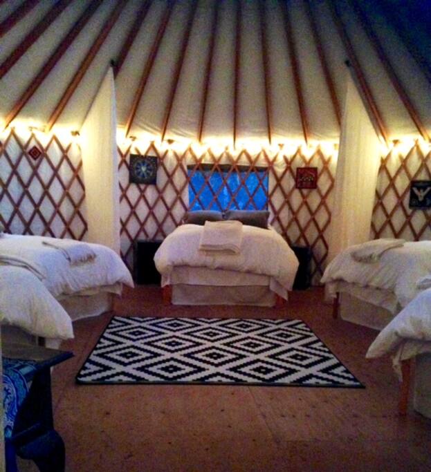 Glamping in the forest, night view!