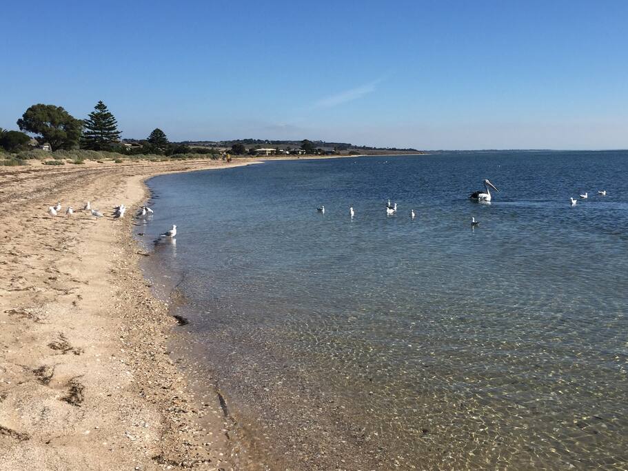 The beach outside the back door