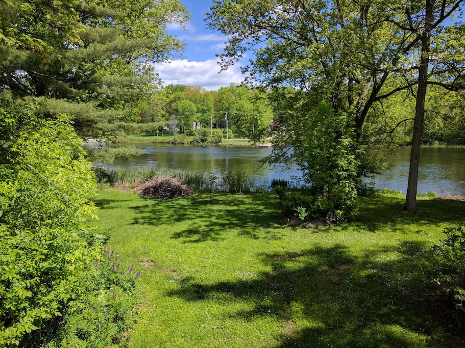 View of the river from the deck.
