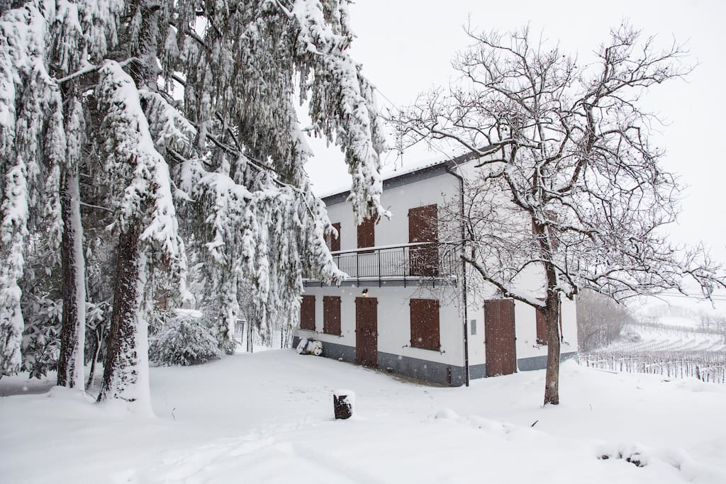 Neve!