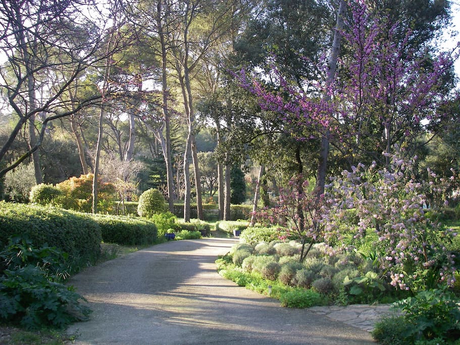 Allée principale de l'entrée