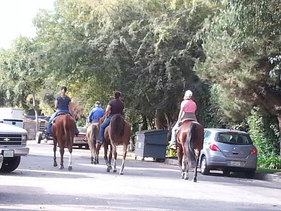 Equestrian community - horses clippity-clop past the house...