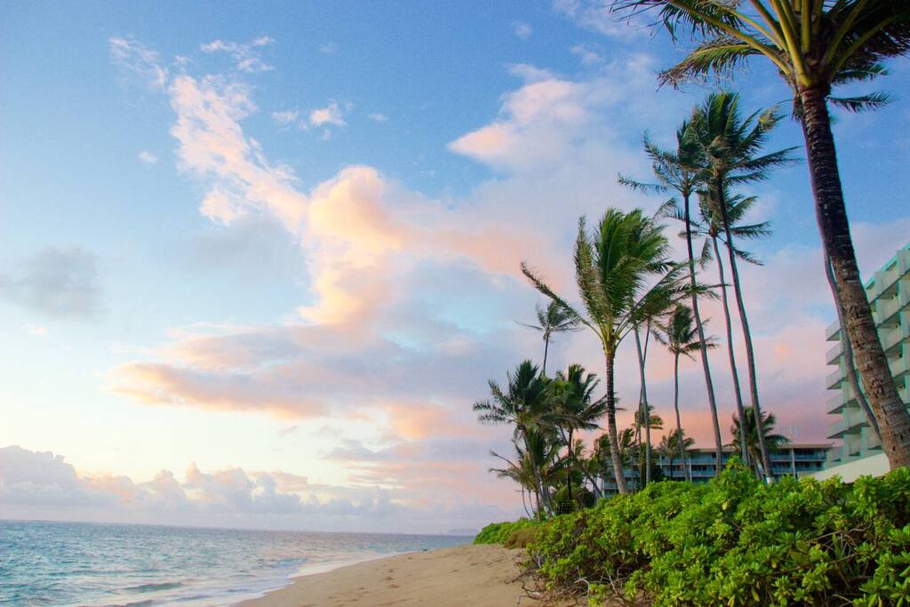 Beachfront property