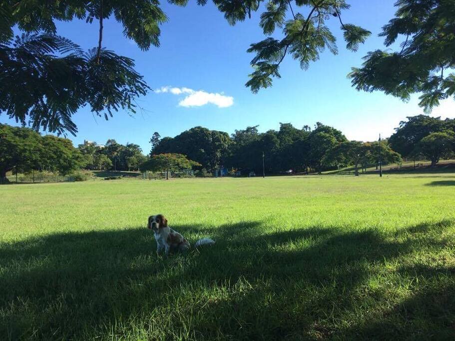Beautiful New Farm Park Across the Road from Home