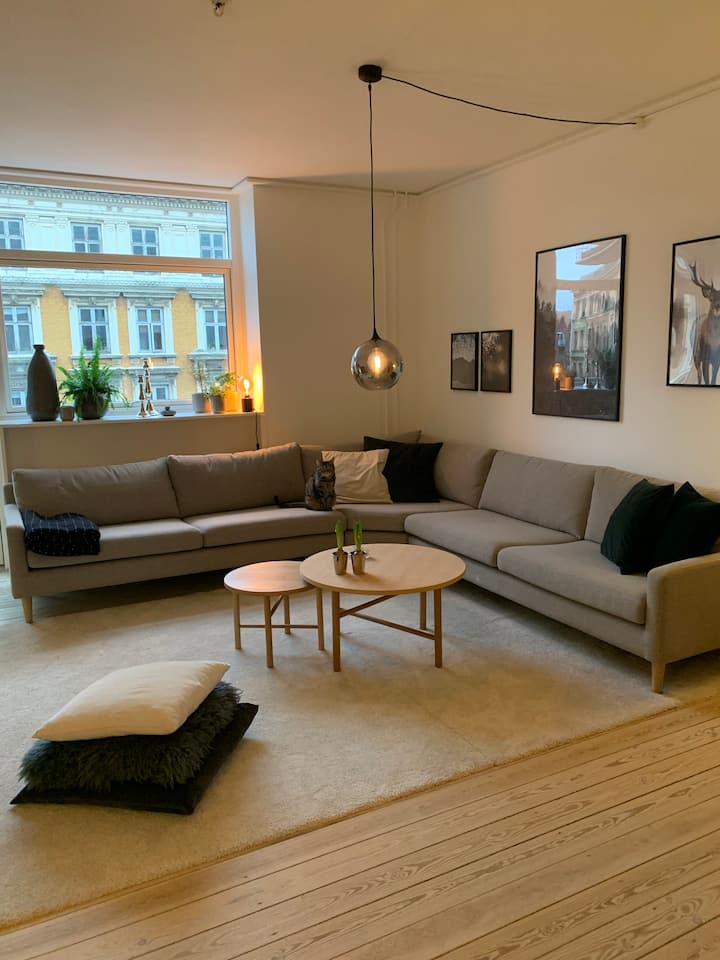 Large apartment in central Nørrebro with 2 balconies.