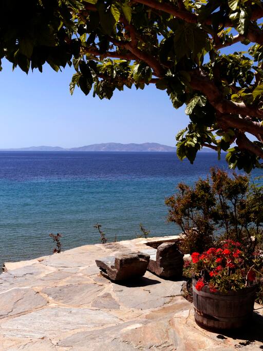 dreamlike view