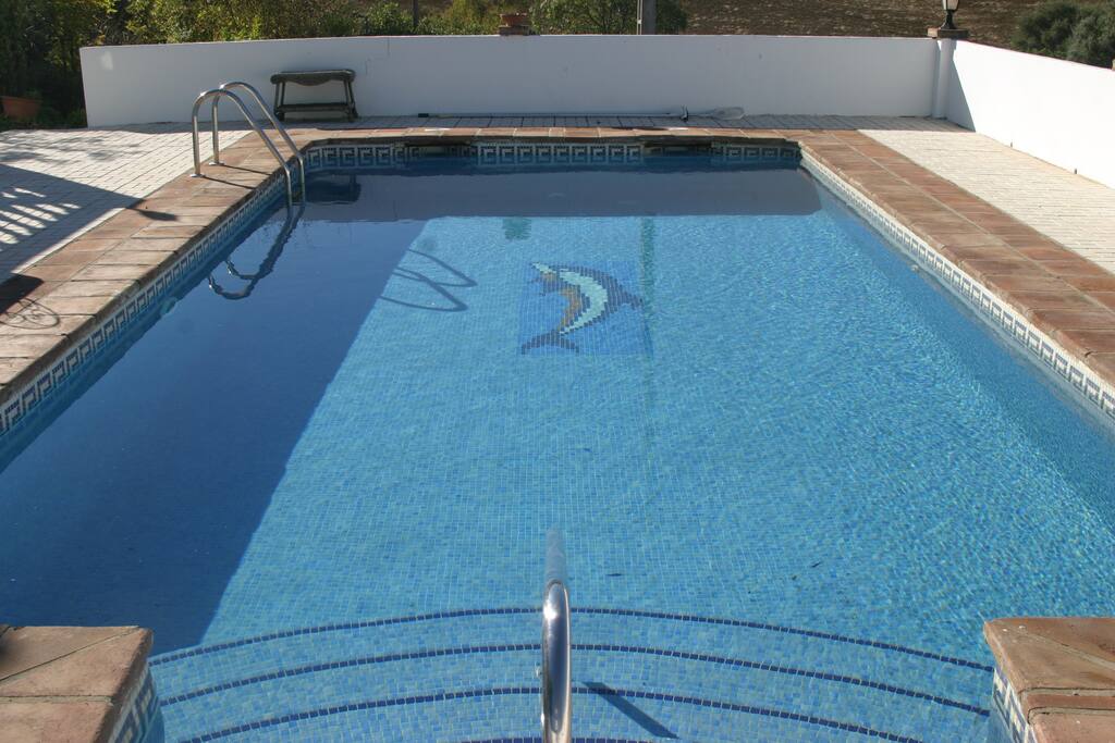 Swimming pool - 1.5m deep, 10 metres