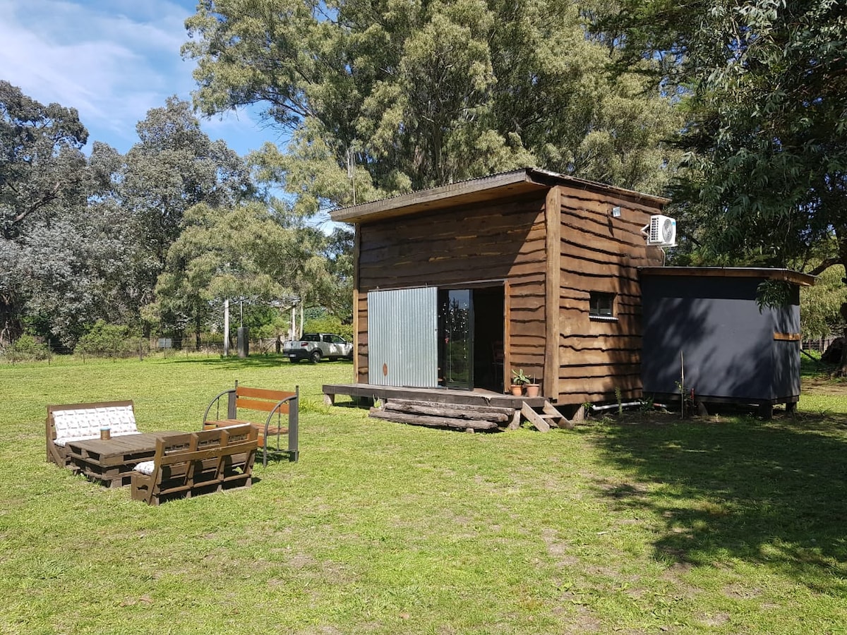 The rustic cabin features a wooden exterior with large glass doors opening to a lush green lawn. Nearby, a wooden seating area is arranged around a fire pit, surrounded by trees that provide shade and a natural setting.