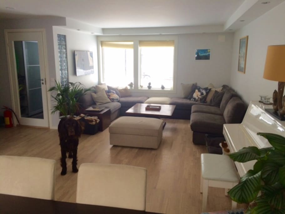 Great couch lounge and TV area