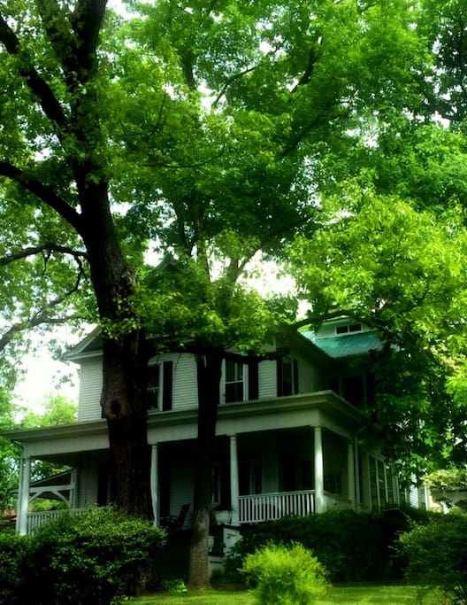 Summer side view