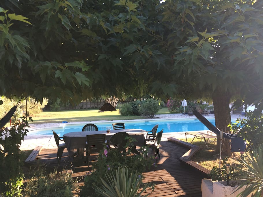 Sous les Mûriers