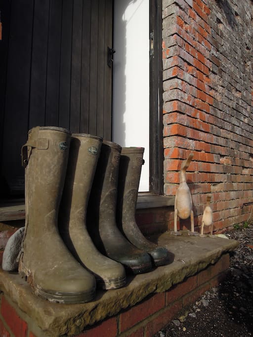 Fabulous walking opportunities