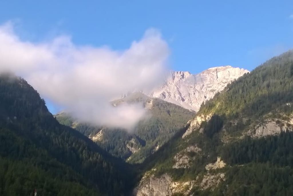 vue du jardin