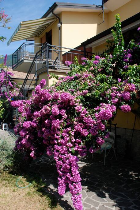 Casa dal giardino