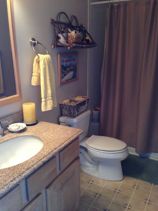 Private bath with shower and tub